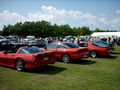 US Car Treffen 2005 in Traun  64125271