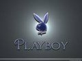 Playboys 12213240