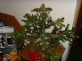 Mein Christbaum:-) 70108314