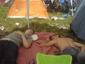 ** Novarock 07** 22420067