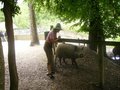 Familienausflug - Tierpark Haag 2007 25763174