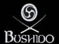 BuShIdO iS tHe BeSt 15058507