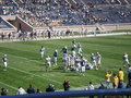 Yale Footballspiele 11045720