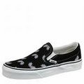 VanS 16616847