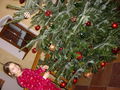 X-MaS 50518147