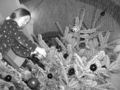 X-MaS 50518161