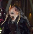 Krampustag 07/08 mit Perchtenlauf 08 50340690