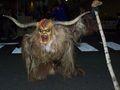 Krampustag 07/08 mit Perchtenlauf 08 50340764