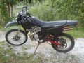 Mein geliebtes Moped 48648550