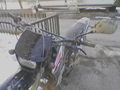 Mein geliebtes Moped 48649808