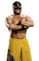 WWE BILDER    37136983