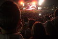 Bon Jovi Konzert - 4.6.08 39170473