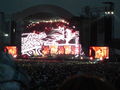 Bon Jovi Konzert - 4.6.08 39171336