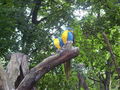 Unser erster Besuch im Tierpark 63474820