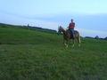 ***   °°°MY HORSE°°°   *** 67223930