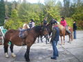 Pferdesegung Waldkirchen 2009 68533725