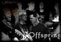 #>ThE OfFsPr!nG<# 8212082