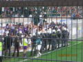 Austria Wien 8235428