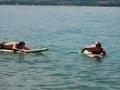 Attersee-Urlaub-WE´s 21821045