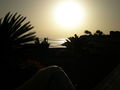 Teneriffa Urlaub 2008 42707623