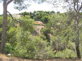 Mallorca 2005 15684639