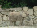 Tierpark Schönbrunn 8754613