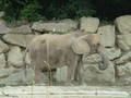 Tierpark Schönbrunn 8754686