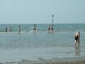 Lignano 2006 8786256