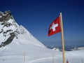 swiss 2008 48825051