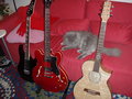 my guitars!!! 24058550