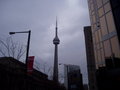 Toronto 11587162