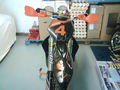  ~*~*Mei New Motocross ~*~* 40637695