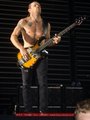 RHCP LIVE IN DA WIENER STADTHALLE!!!!!! 12353346