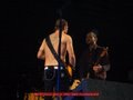 RHCP LIVE IN DA WIENER STADTHALLE!!!!!! 12353417