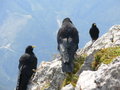 auf de berg bin i gern 27365520