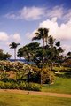 Hawai'i 2001-Maui 15535395