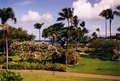 Hawai'i 2001-Maui 15535433