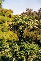 Hawai'i 2001-Maui 15578130