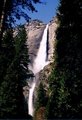 Yosemite National Park 17357570