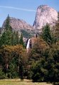 Yosemite National Park 17370090