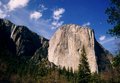 Yosemite National Park 17372974