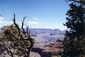 Grand Canyon 17849433