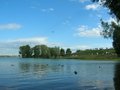 Wien: Donau-Insel-Fest-2007 22557714