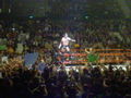 WWE Revange Tour 08  42849982