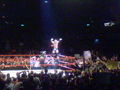 WWE Revange Tour 08  42849983