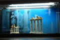 ***unser aquarium*** 11315444