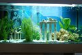 ***unser aquarium*** 11315453