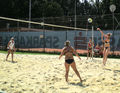 Beach- und Volleyball 43878522