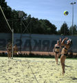 Beach- und Volleyball 43878526