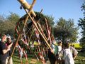 maibaum 38494694